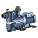 BOMBA AUTOCEBANTE PEDROLLO MODELO MAGNIFICA 4M 2 HP - PISCINAS HASTA 180.000 LTS - 220V