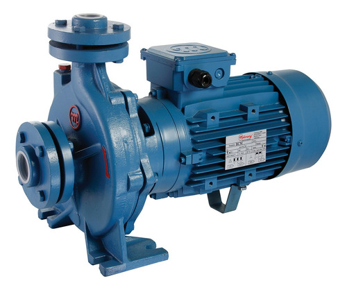 [C.CM.2.3035.T] BOMBA CENTRIFUGA BRIDADA MOTORARG MODELO BCM 335N - 3,5 HP - ELEVA 46 MTS - 380V